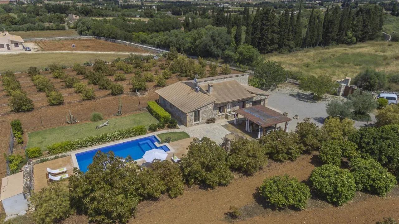 Villa Es Moya Des Pins 무로